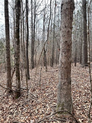 509 Crowe Creek Road, Six Mile, SC 29682