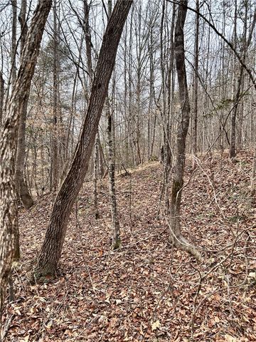 509 Crowe Creek Road, Six Mile, SC 29682