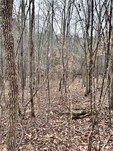 509 Crowe Creek Road, Six Mile, SC 29682