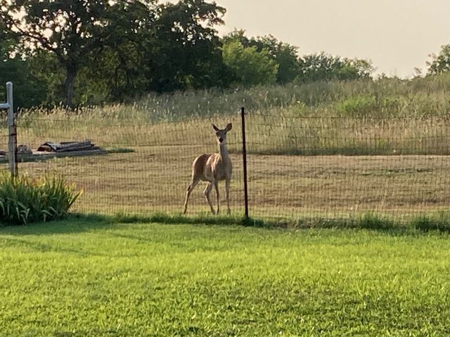 4460 Hildreth Pool Road, Bowie, TX 76230