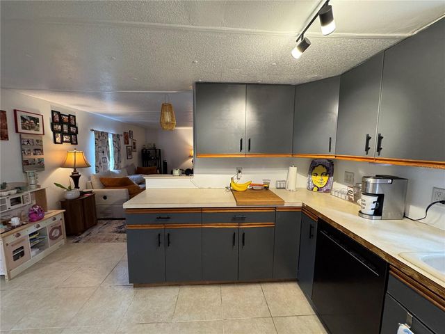 17336 PALM DRIVE, Montverde, FL 34756