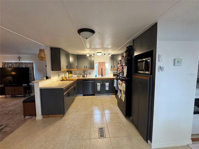 17336 PALM DRIVE, Montverde, FL 34756