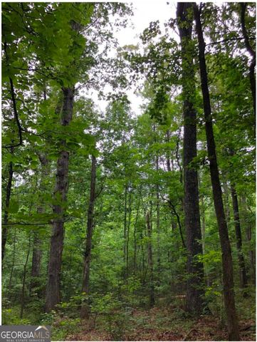 0 Hall Road TRACT 1, South Fulton, GA 30213