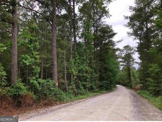 0 Hall Road TRACT 1, South Fulton, GA 30213