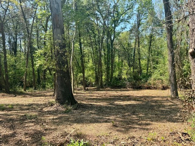 Lot 3 CR 4365, Mount Pleasant, TX 75455