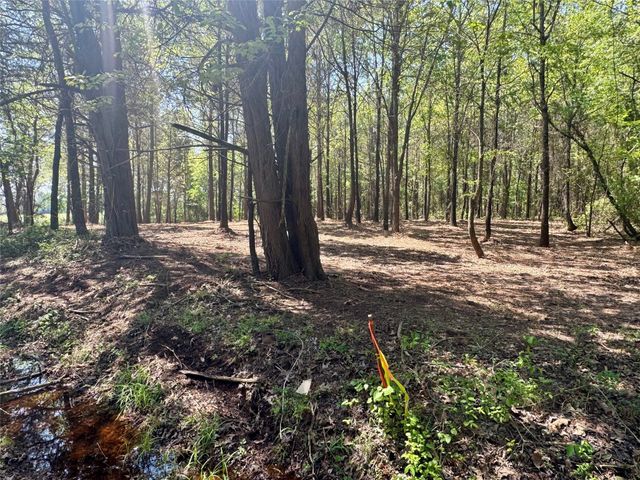Lot 3 CR 4365, Mount Pleasant, TX 75455