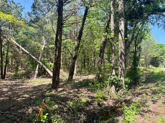 Lot 3 CR 4365, Mount Pleasant, TX 75455