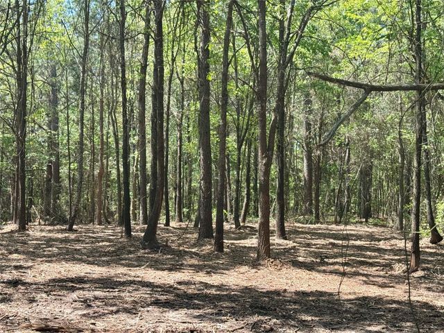 Lot 3 CR 4365, Mount Pleasant, TX 75455