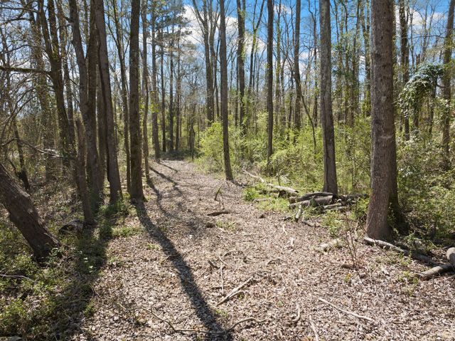 Lot 3 CR 4365, Mount Pleasant, TX 75455