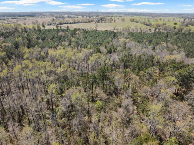 Lot 3 CR 4365, Mount Pleasant, TX 75455