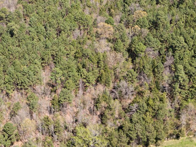 Lot 3 CR 4365, Mount Pleasant, TX 75455