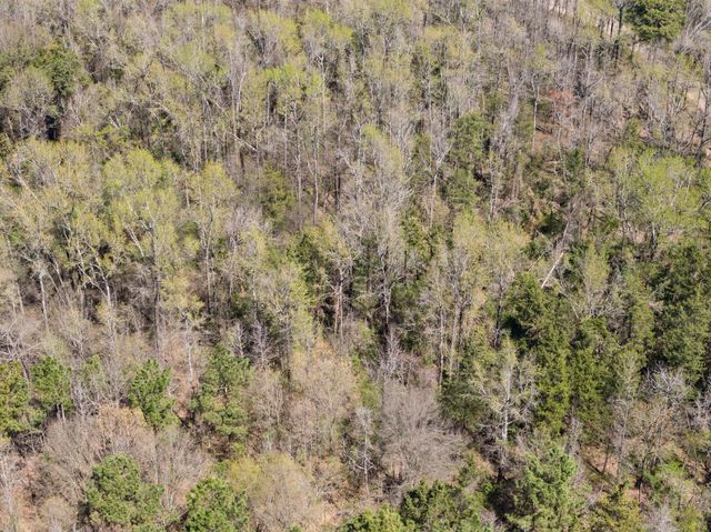 Lot 3 CR 4365, Mount Pleasant, TX 75455