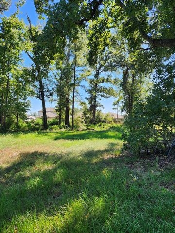 Lot 244 Holly Street, Porter, TX 77365