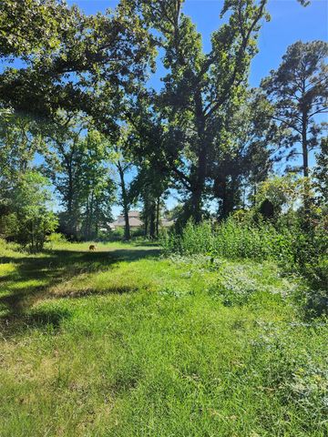 Lot 244 Holly Street, Porter, TX 77365