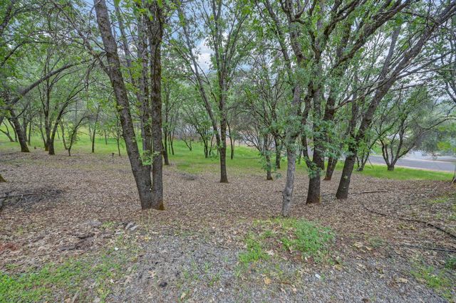 2101 Secret Diggin Ct, Cool, CA 95614