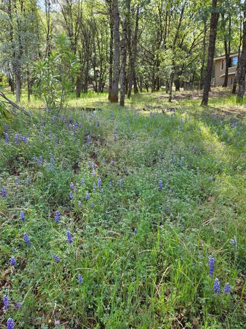 2101 Secret Diggin Ct, Cool, CA 95614