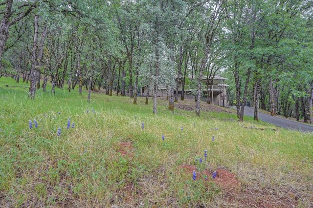 2101 Secret Diggin Ct, Cool, CA 95614