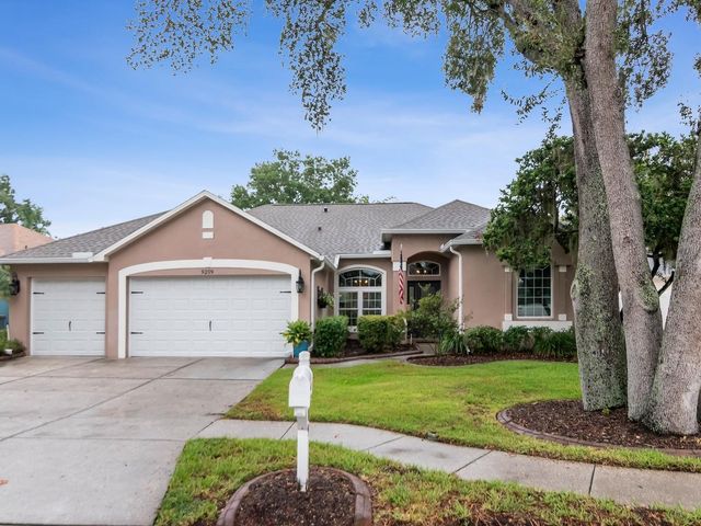 9209 WATERBIRD DRIVE, Riverview, FL 33578
