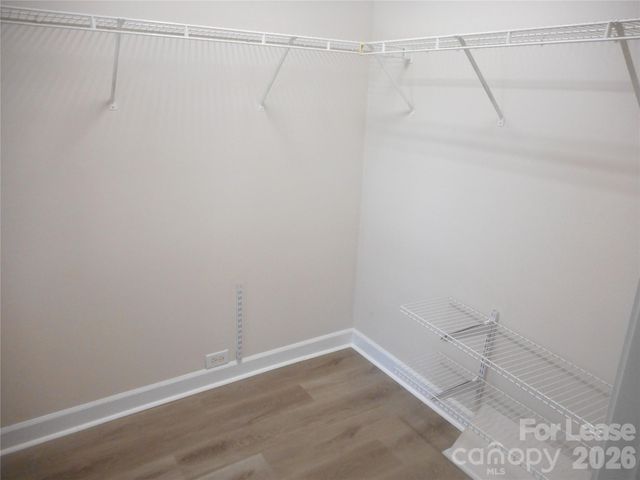 8037 Shiny Meadow Lane, Charlotte, NC 28215