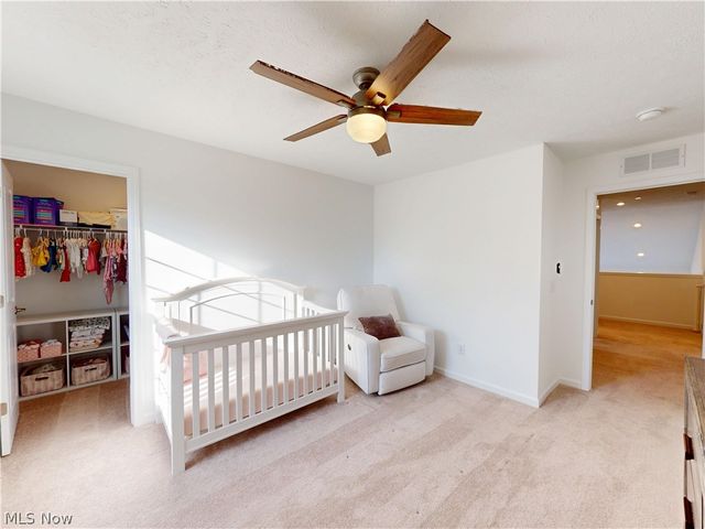 8215 Mustang Lane, Mentor, OH 44060