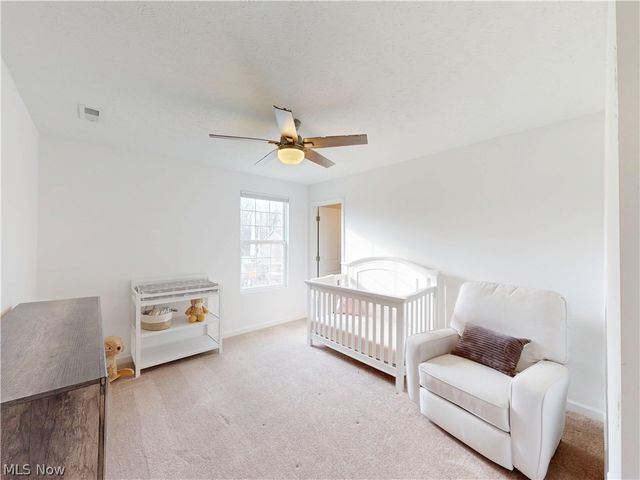 8215 Mustang Lane, Mentor, OH 44060