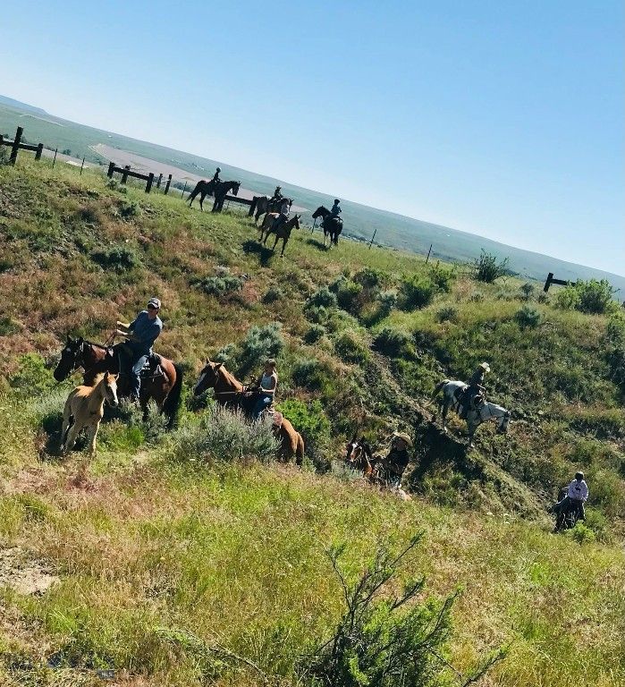 60 Five Mile Creek Road, Edgar, MT 59026 photo 13