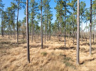 TBD Lot 11 Red Lowe Road, Livingston, TX 77351