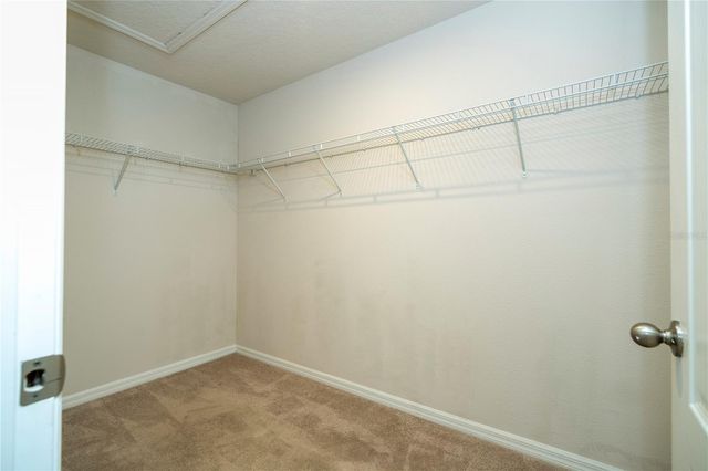 6131 ELFIN HERB WAY, Winter Garden, FL 34787