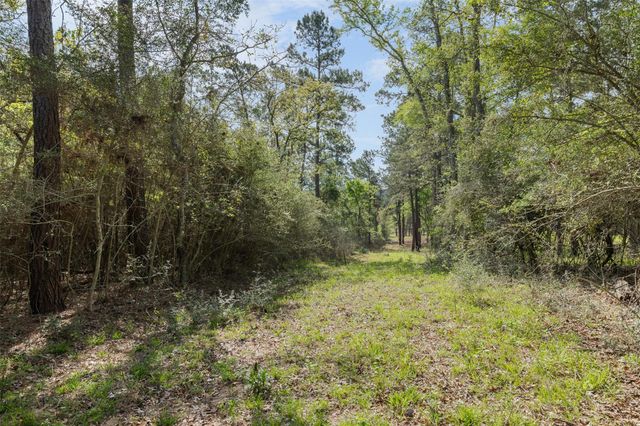 1631 County Road 131, Centerville, TX 75833