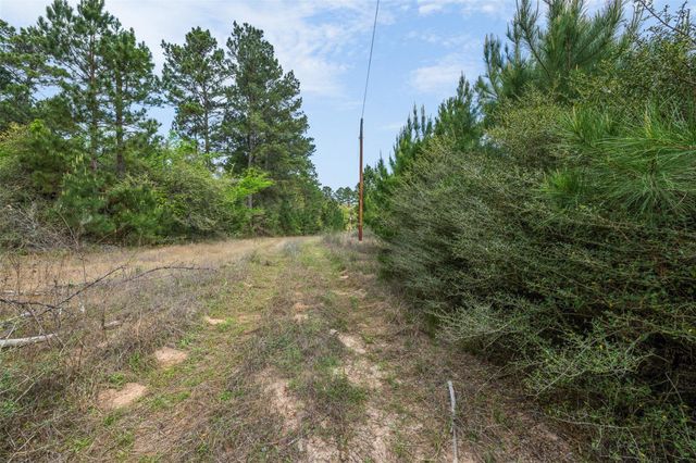1631 County Road 131, Centerville, TX 75833