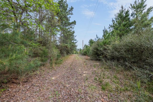 1631 County Road 131, Centerville, TX 75833