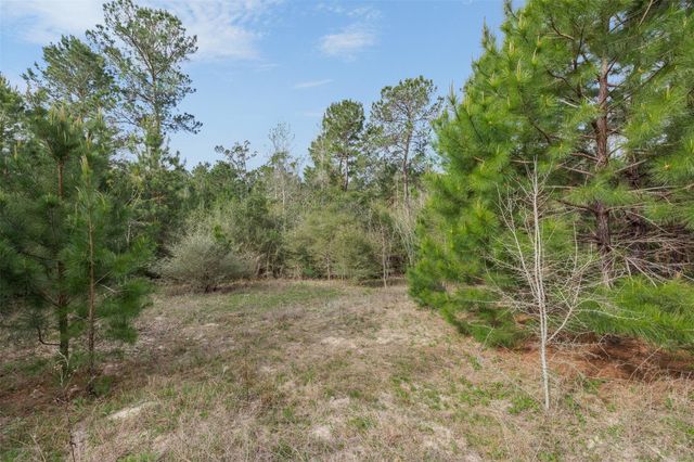 1631 County Road 131, Centerville, TX 75833