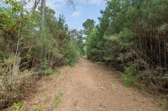 1631 County Road 131, Centerville, TX 75833