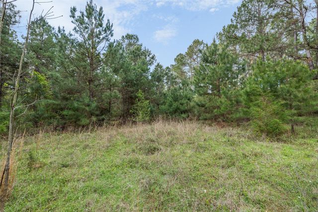 1631 County Road 131, Centerville, TX 75833