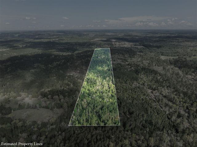 1631 County Road 131, Centerville, TX 75833