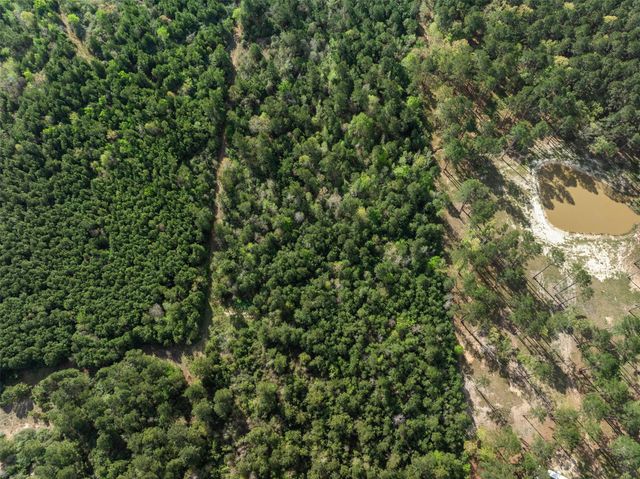 1631 County Road 131, Centerville, TX 75833