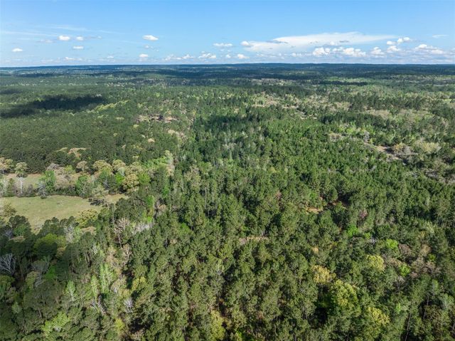 1631 County Road 131, Centerville, TX 75833