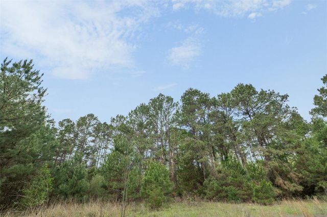 1631 County Road 131, Centerville, TX 75833