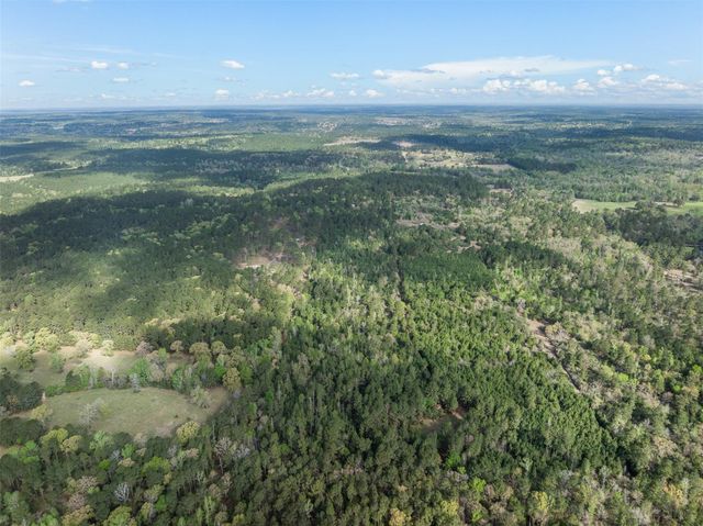 1631 County Road 131, Centerville, TX 75833