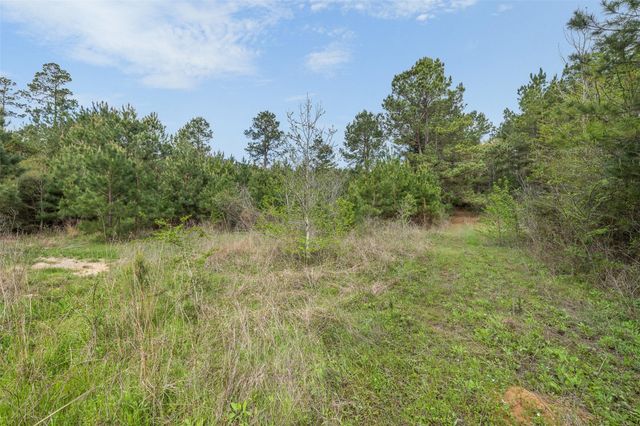 1631 County Road 131, Centerville, TX 75833