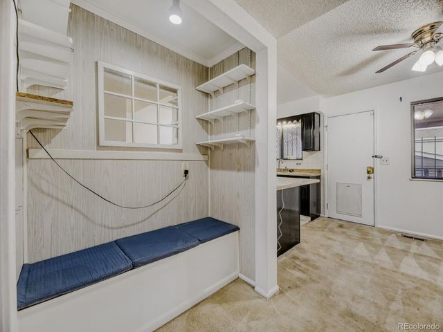 446 S Balsam Street, Lakewood, CO 80226