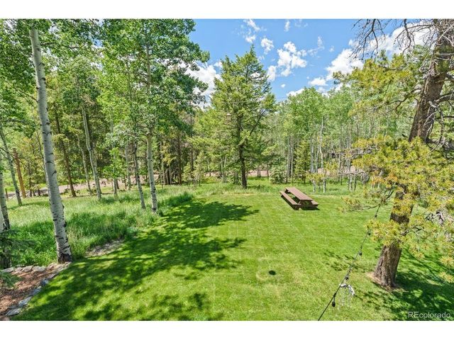 9030 Rex Ln, Conifer, CO 80433