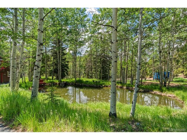 9030 Rex Ln, Conifer, CO 80433