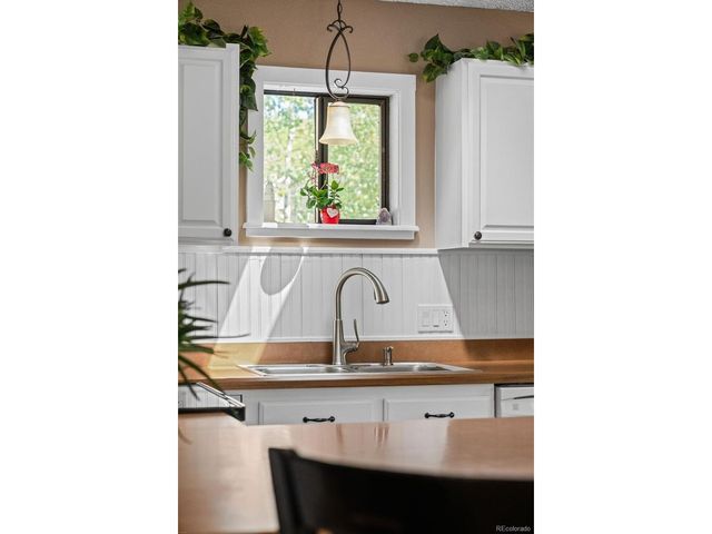 9030 Rex Ln, Conifer, CO 80433