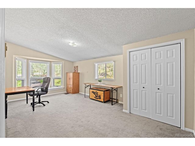 9030 Rex Ln, Conifer, CO 80433