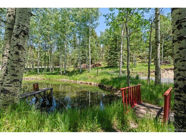9030 Rex Ln, Conifer, CO 80433