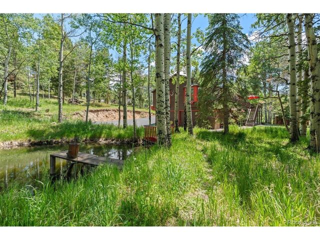 9030 Rex Ln, Conifer, CO 80433