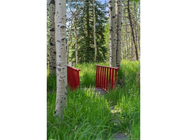 9030 Rex Ln, Conifer, CO 80433