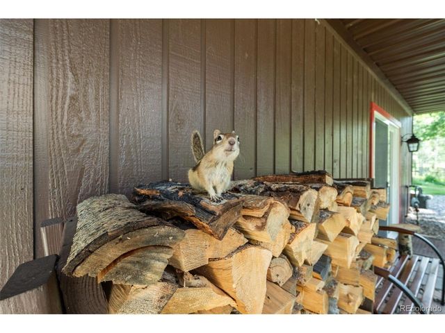 9030 Rex Ln, Conifer, CO 80433