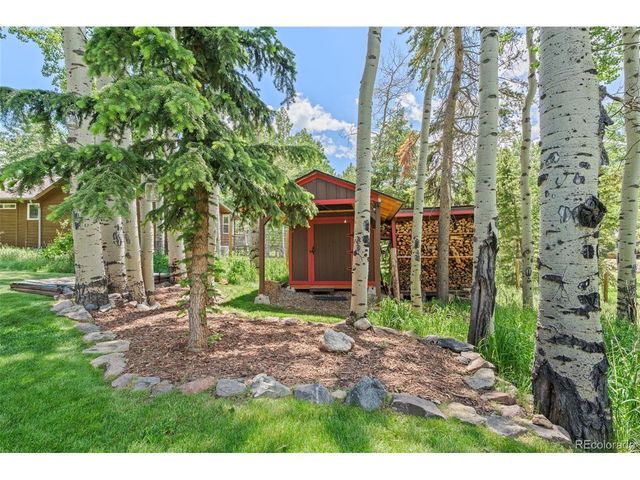9030 Rex Ln, Conifer, CO 80433